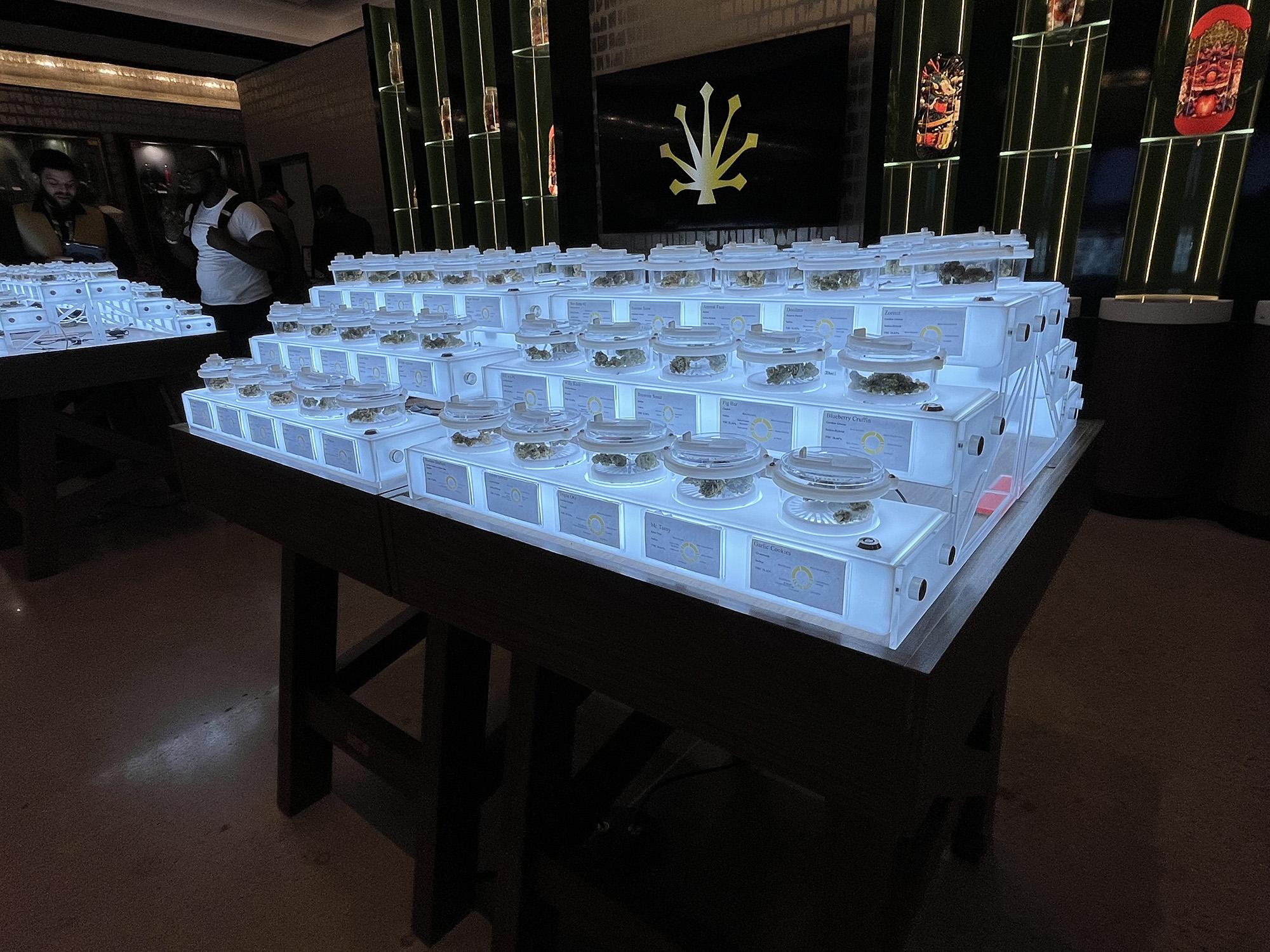 Retail’s New Reality: Automation in Customer Service